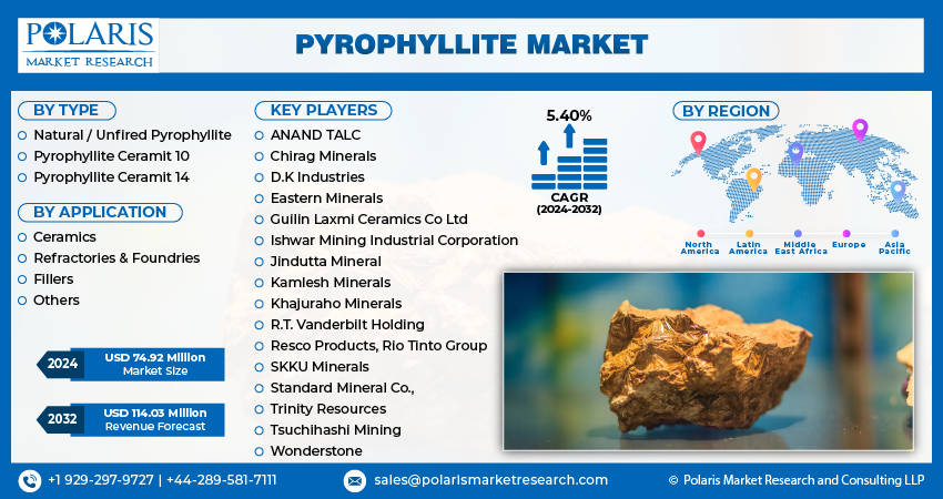 Pyrophyllite Market Seg